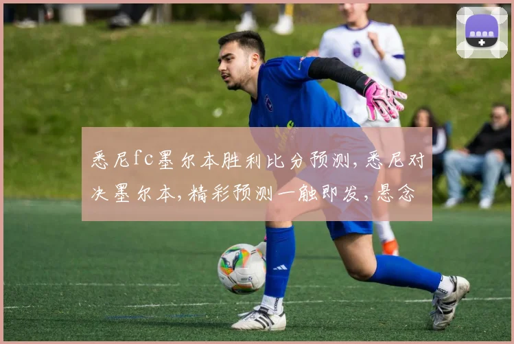 悉尼fc墨尔本胜利比分预测,悉尼对决墨尔本,精彩预测一触即发,悬念重重